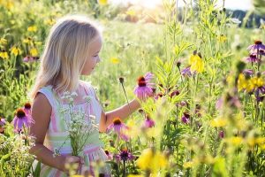 Punture di insetti in bambini e neonati, le cose da sapere